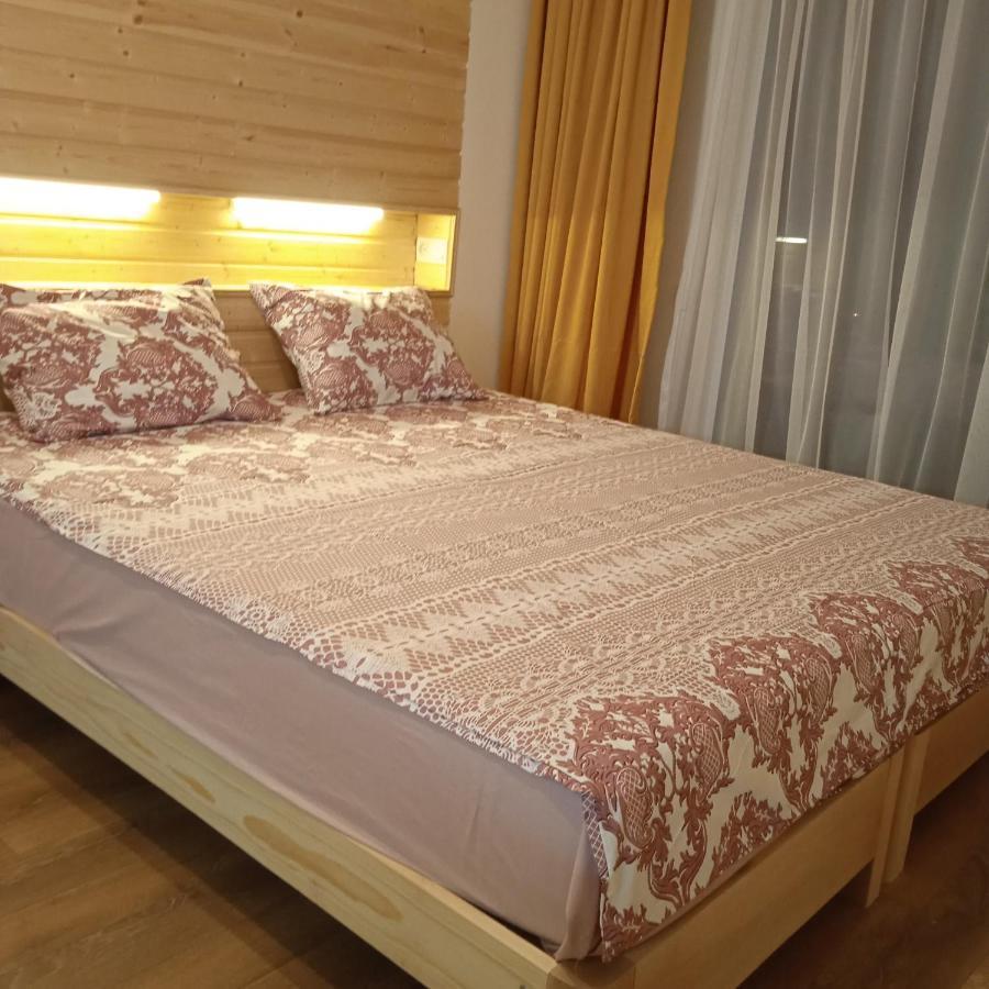 Roshka Apartment 307 Gudauri Dış mekan fotoğraf